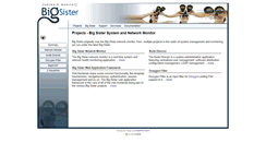 Desktop Screenshot of bigsister.ch